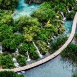 Bild von oben von Holzsteck, der duch eine Nutr mit Bäumen und Wasser führt